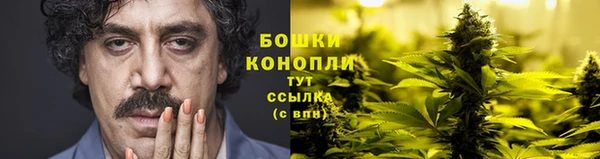 ALPHA PVP Беломорск