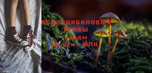 крисы Белокуриха