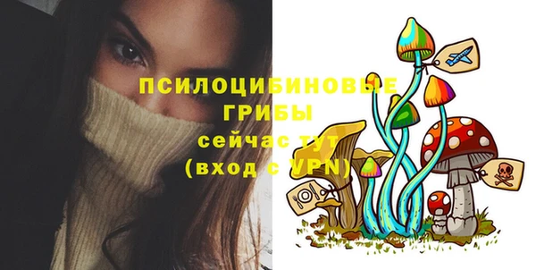 apvp Алапаевск