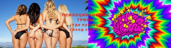 крисы Белокуриха