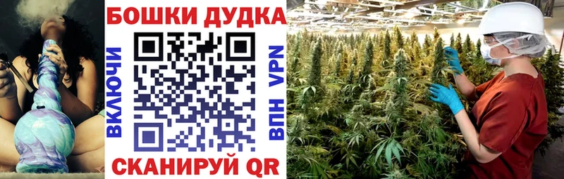 Марихуана планчик  дарнет шоп  Бузулук 
